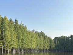 -苏州太湖国家湿地公园