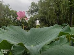 -大宁灵石公园西门票处