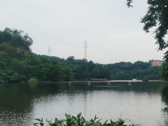 -重庆彩云湖湿地公园