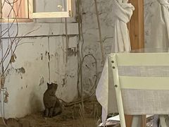 -0907餐厅(核桃园店)