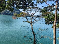 -广州市流溪河国家森林公园
