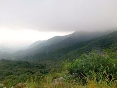 -阳台山自然风景区