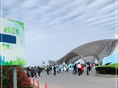 -南汇嘴观海公园