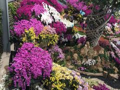 -南通洲际绿博园