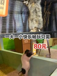 -酷嗒动物文化乐园(cutezoo西溪乐天城店)