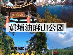 -黄埔油麻山森林公园