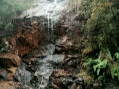 -九龙江国家森林公园