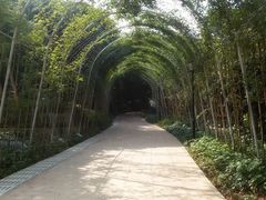 -天河儿童公园