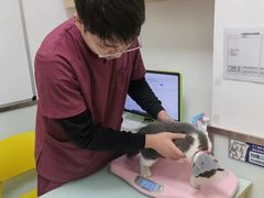 -宠福鑫康馨动物医院·骨科·眼科