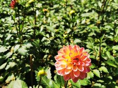 -徐家汇源景区-衡山公园