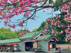 -广东圆玄道观
