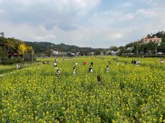 -红山村