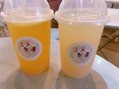 -Husky Go! 哈士奇体验馆·宠物咖啡厅狗咖