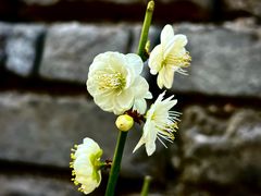 -北京明城墙遗址公园
