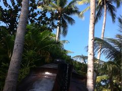 珠江南田温泉度假区小鱼温泉中心-三亚珠江南田温泉度假区