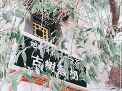 -古树酸奶(八廓南街店)