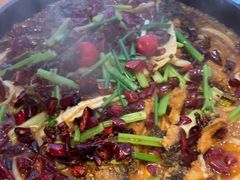 -老板恋上鱼(恒隆广场店)