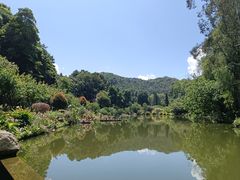 -深圳仙湖植物园