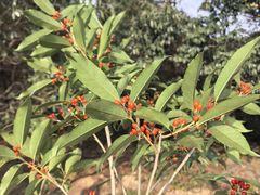 -南京市无想山景区