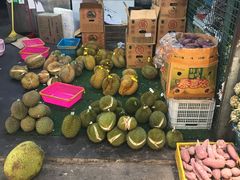 -三亚新鸿港水果一级批发市场