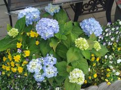 -昆山城市生态森林公园