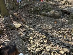 -武当山风景区