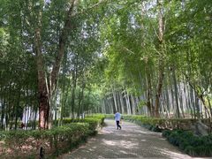 -兰亭风景区