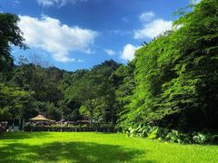 -野象谷景区