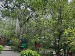 -吉林市朱雀山国家森林公园