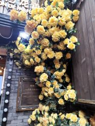 -香遇沙龙香水·调香·团建