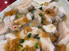 冬菜蒸九肚鱼-抱德·潮汕味(敦和店原惠城鱼仔)