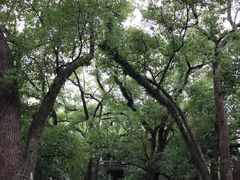 -蒋氏故居
