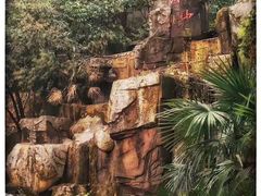 -龟山风景区-龟山电视塔