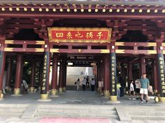 -庐山风景名胜区-东林大佛