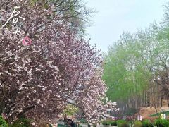 -元大都城垣遗址公园