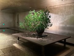-隐溪茶馆(静安寺店)