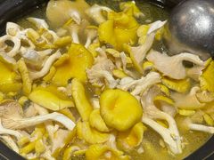 -菌之家·专业纯野生菌火锅·特色炒菌