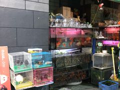 -金田水族花卉市场(银庄大厦店)