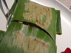 -雀舞云南菜(乐客城店)
