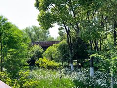 -昆山城市生态森林公园