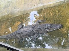 -昆明动物园