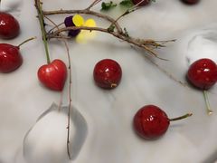 樱桃鹅肝酱-观宴中餐厅