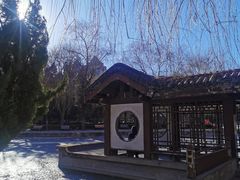 -团结湖公园