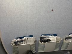 -全日本空输株式会社(上海办事处)