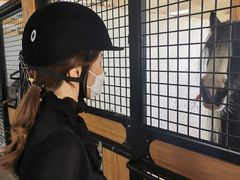 -北京群众马术培训基地