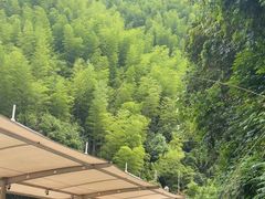 -将军关探险漂流