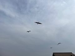 -盐城丹顶鹤湿地生态旅游区