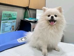 -半岛宠物医院24小时(西派城店)