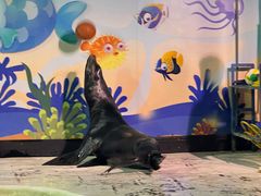 -太平洋海底世界