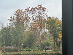 -溱湖国家湿地公园